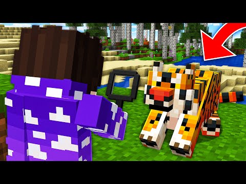 Procurando um Tigre para uma TROLLAGEM no Minecraft - LIVE GRAVANDO ODISSEIA #2