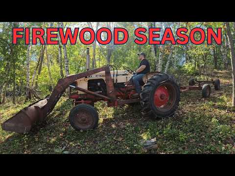 Get Fired Up: Firewood Cutting Season Is Here!