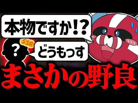 【Sティア】まさかの野良とマッチングするCHEEKY【CHEEKY切り抜き】