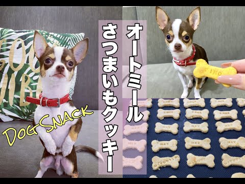 犬用クッキー！子供でも簡単【オートミールさつまいもクッキーの作り方】