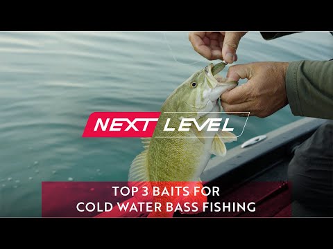 Mark Zona's Top 3 Baits for Fishing Cold Water Bass [NEXT LEVEL]