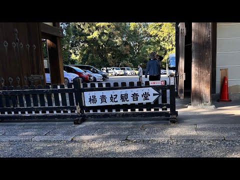 楊貴妃觀音堂（在京都泉涌寺御座所庭園內）11-22-2023 Visiting Sennyuji - Kyoto