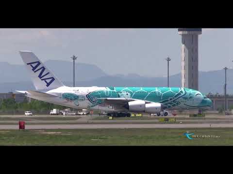 " 笑顔が素敵♪ ANA A380 2号機のカイ君が新千歳に2回目の訪問!! " All Nippon Airways Airbus A380-841 JA382A