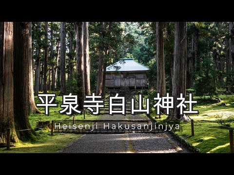 【苔宮】【苔寺】平泉寺白山神社の紅葉　｜福井県｜勝山市｜