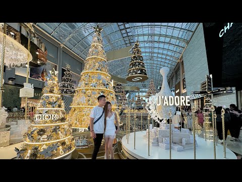 狮城圣诞大狂欢 Christmas in the city-Singapore 2023 MBS、莱佛士城、怡丰城、滨海广场、乌节路、滨海花园、星耀樟宜、首都新加坡