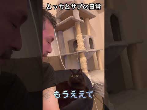 サブとの日常会話