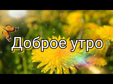 Доброе утро ☀️ Музыкальная открытка