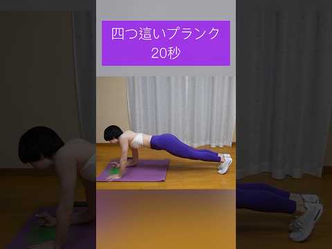 【筋トレ】四つ這いプランク20秒