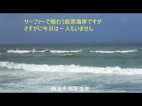 外房海岸　2018.8.24