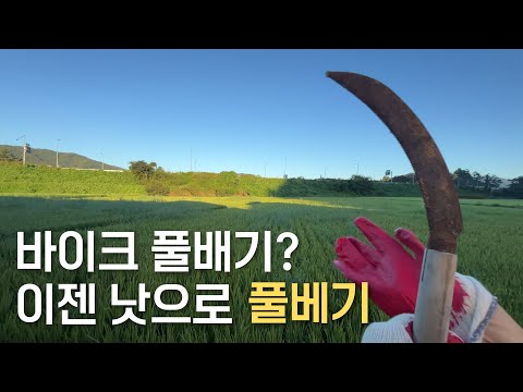 전직 바이크 유튜버의 농사짓기 대작전