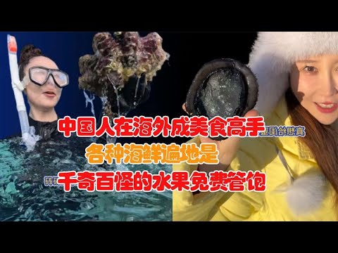 国外遍地海鲜无人采！海参鲍鱼大扇贝成入侵物种！这事还得看国人