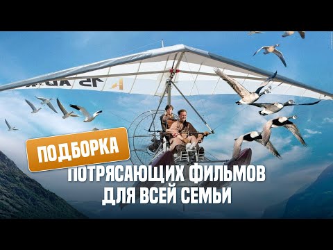 Подборка потрясающих фильмов для всей семьи!