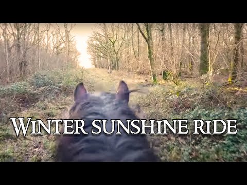 Horse riding: A ride out through the woods with Talos ASMR