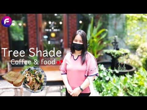 คาเฟ่เก๋ๆบรรยากาศดีๆอาหารอร่อยๆกับคนที่คุณรัก Tree Shade Coffee & Food ราชบุรี food travel studio