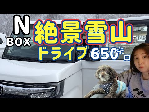 【N BOX】冬の高速道路で絶景を楽しむ！犬連れ650㎞の雪国日帰り旅