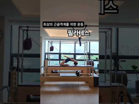 최상의 근골격계를 위한 운동✨️필라테스 🧡 #에이블필라테스 #필라테스  #pilates #코어안정 #코어활성화 #shorts