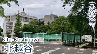 【北越谷】4K 自然豊かな文教大学周辺を散策/大学シリーズ/Bunkyo University was in a good environmental location.