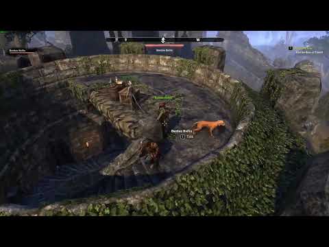 Elder Scrolls  Online - The Will of the Woods