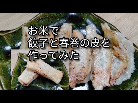 お米で餃子と春巻の皮を作ってみました