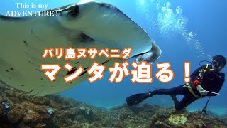 バリ島ヌサペニダ｜マンタが迫る！迫力のダイビング