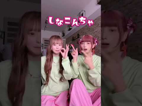 桜ちゃんとしなこワールドで双子ダンスしてみた🌸🤍 #しなこワールド