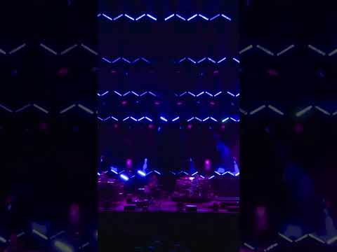 Phish “Tweezer” 4/17/23 Berkeley, CA #PhishShorts #shorts