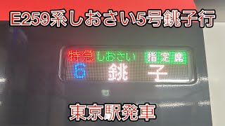 E259系特急しおさい5号銚子行、東京駅発車シーン