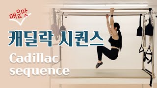 [50min] 땀폭팔 매운맛 전신 캐딜락 운동 / 전신운동 / 필라테스시퀀스