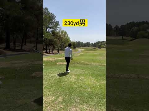 振っても振らなくても230yd⛳️#youtube #shorts #golf #golfswing #ゴルフスイング #ゴルフ動画 #ラウンド動画 #100切り #ドライバーショット #ドライバー