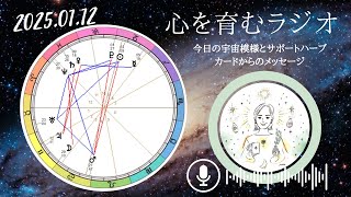 午後から満月域へ🌕不安や心配が溢れてきやすいエネルギー。午前中は移動にも気をつけて【2025年1月12日】星読み&12星座別メッセージ