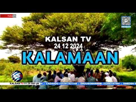 Wararka Duhurnimo Telefishinka Kalsan TV 29-12-2024.