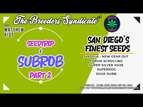 San Diego's Finest Seeds Pt2 With SeeDtrip Subrob ICMag Forum SSH Haze Superhog Master Kush S11 E05