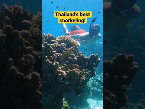 Thailand’s best snorkeling spot - Surin Islands! 🤿 #thailand #phukettrip #surinislands #snorkeling