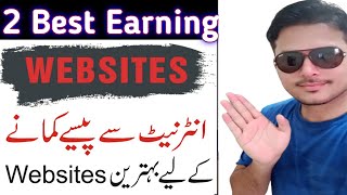 Make Money Online Without Investment Websites - Earn Money Online - RollerBite & DefihHold Websites