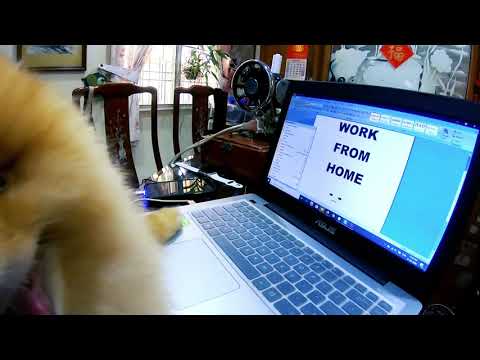 Work from Home