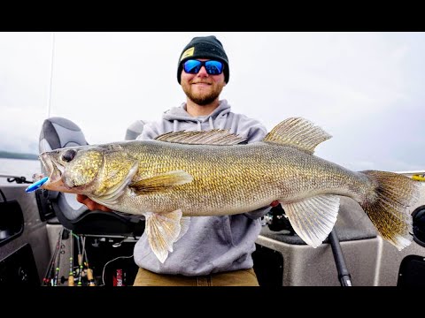 Best Tactics for Fall Walleyes: Pro Picks (Part 1)