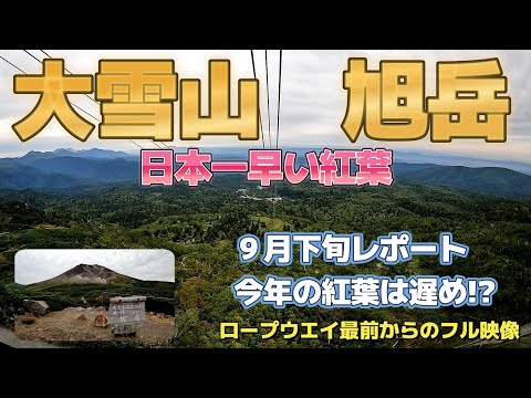 日本一早い紅葉　大雪山旭岳レポート　今年の紅葉は遅め！？