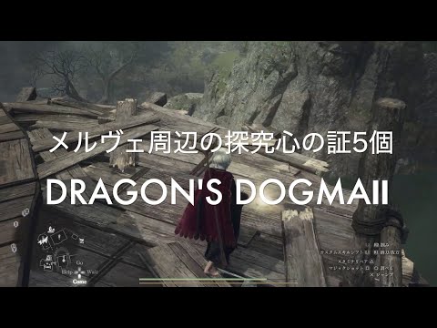 メルヴェ周辺の探究心の証5個【DRAGON'S DOGMA2 PS5】