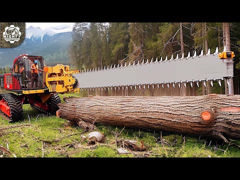 200 CRAZY Powerful Forestry, Wood Crushing, and Land Clearing Machines That Are On Another Level