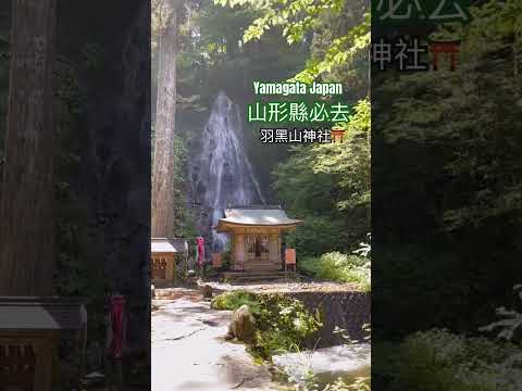 山形縣必去景點｜羽黑山神社｜神様がいるな神社 ｜📍羽黑山神社 #山形県  #神社仏閣巡り #神様 #山形観光 #東北 #神社 #visitjapan #tohokujapan #yamagata