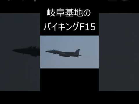 岐阜基地のバイキングF-15がローアプローチして行きました。#short