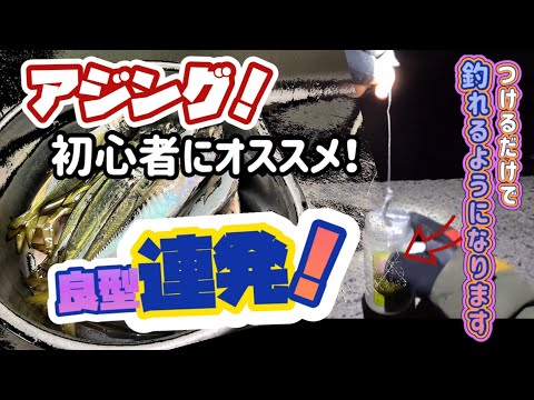 【アジング】どんなルアーにも対応する万能アイテムを使って周りとの釣果に差をつけよう♪【初心者にオススメ】