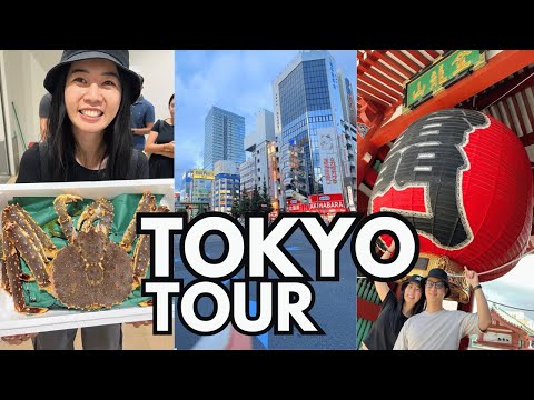 We tried the No.1 top rated Tokyo FOOD tour on Airbnb Experiences! Tuna auction, Tsukiji, Asakusa