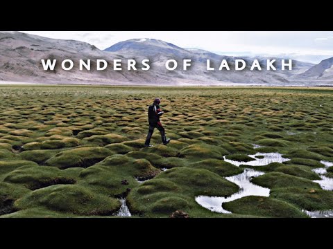 Dreamland of Ladakh | Milkyway Galaxy | Ladakh Ride 2022 | EP : 12