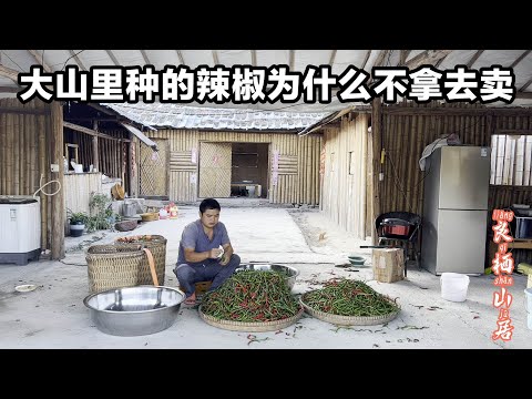 为何大山里的小伙不把种植的辣椒拿去卖，小伙说卖可能还不够油钱