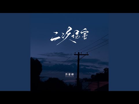 二次伤害 (校园广播版)