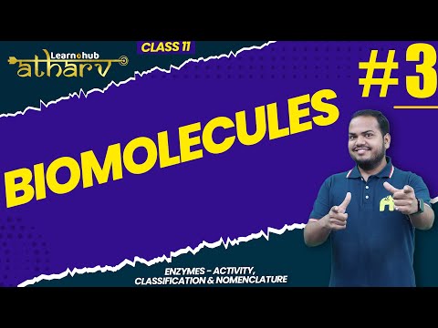 Biomolecules Class 11 Biology NCERT Chapter 11 #3 | Enzymes | Atharv Batch