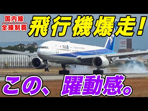 【大迫力！】滑走路のそばに公園が！飛行機が目の前を大爆走！伊丹空港・伊丹スカイパークで飛行機を堪能しまくる！[国内線制覇 スピンオフ]