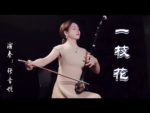 二胡演奏音乐：一枝花，音乐委婉动听，旋律跌宕起伏，经典影视剧《武松》主题音乐