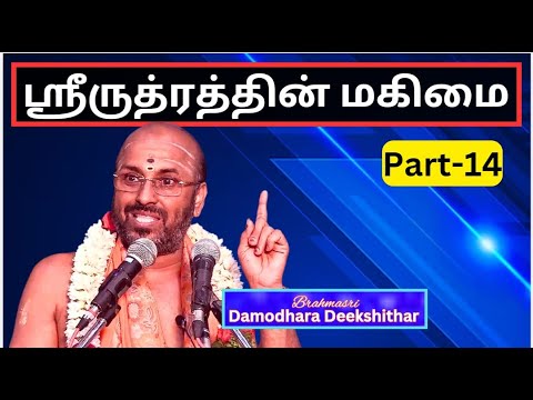 ஸ்ரீருத்ரத்தின் மகிமை 14, Glory of Sri Rudram -   Brahmasri Damodara Deekshitar